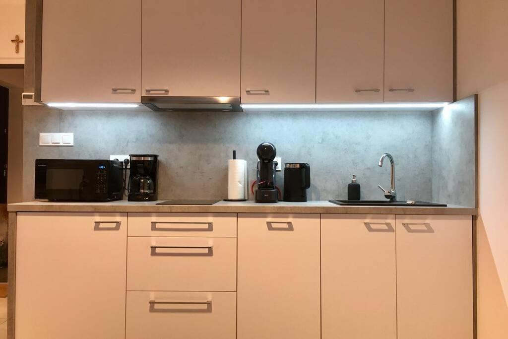 Apartament Fibra Brownie Рибник Екстер'єр фото
